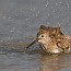 thumbs/IMG_2710.jpg